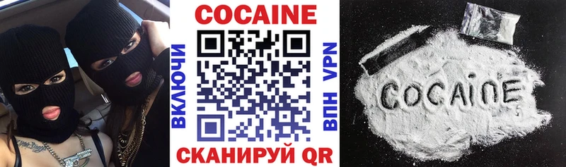 Cocaine FishScale  дарнет шоп  Гаджиево 
